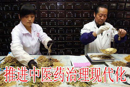 推進中醫(yī)藥治理現(xiàn)代化