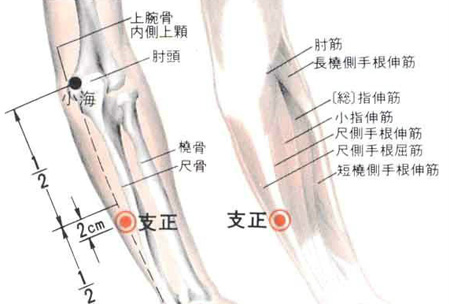 支正穴→治頭痛、目眩