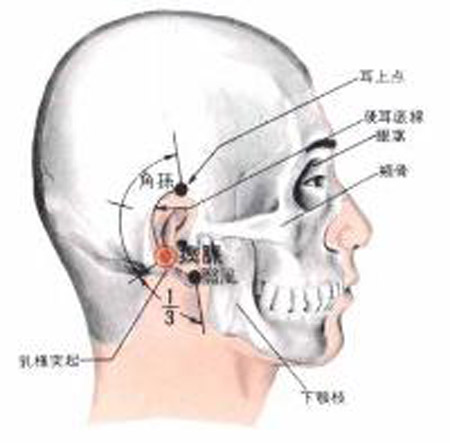 瘈脈穴→頭痛、耳聾