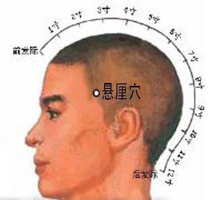 懸厘穴→治偏頭痛、面腫