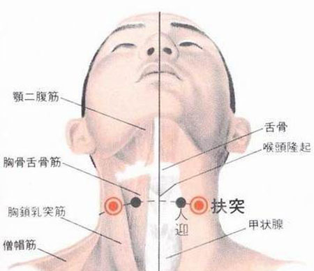 扶突穴→治干咳、氣喘