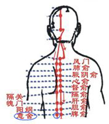 意舍穴→治腹脹、腸鳴