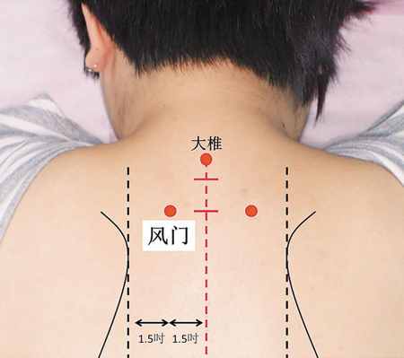 風(fēng)門穴→治傷風(fēng)、咳嗽