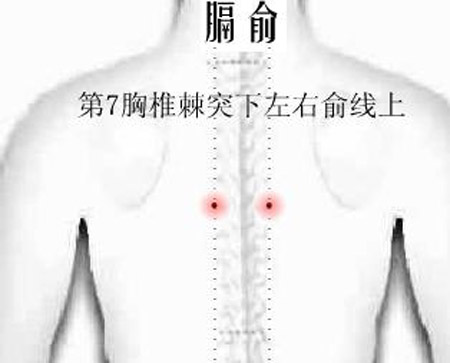 膈俞穴→治嘔吐、呃逆