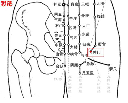 沖門穴→治腹痛、帶下