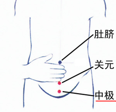 中極穴：補(bǔ)腎培元，調(diào)治陰挺、不孕