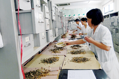 以“一帶一路”為契機(jī)，推動(dòng)中醫(yī)藥走向世界