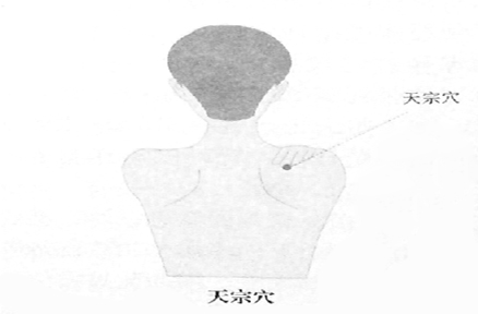 天宗穴 天宗穴