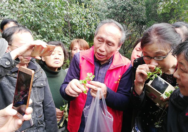 春游踏青尋百草，跟名中醫(yī)認(rèn)草藥