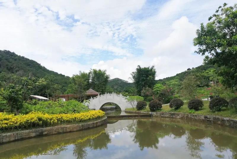 “重陽登高識百草，遍插茱萸承孝道”國醫(yī)小鎮(zhèn)重陽節(jié)主題活動招募來啦！