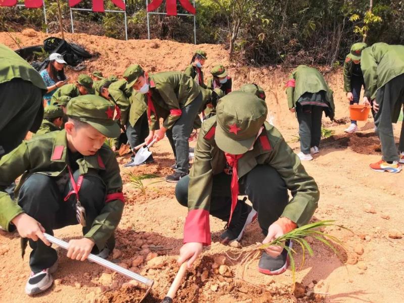 勞動(dòng)實(shí)踐：種植萱草