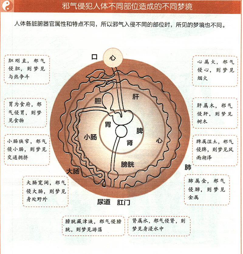 如何從夢境推算健康？