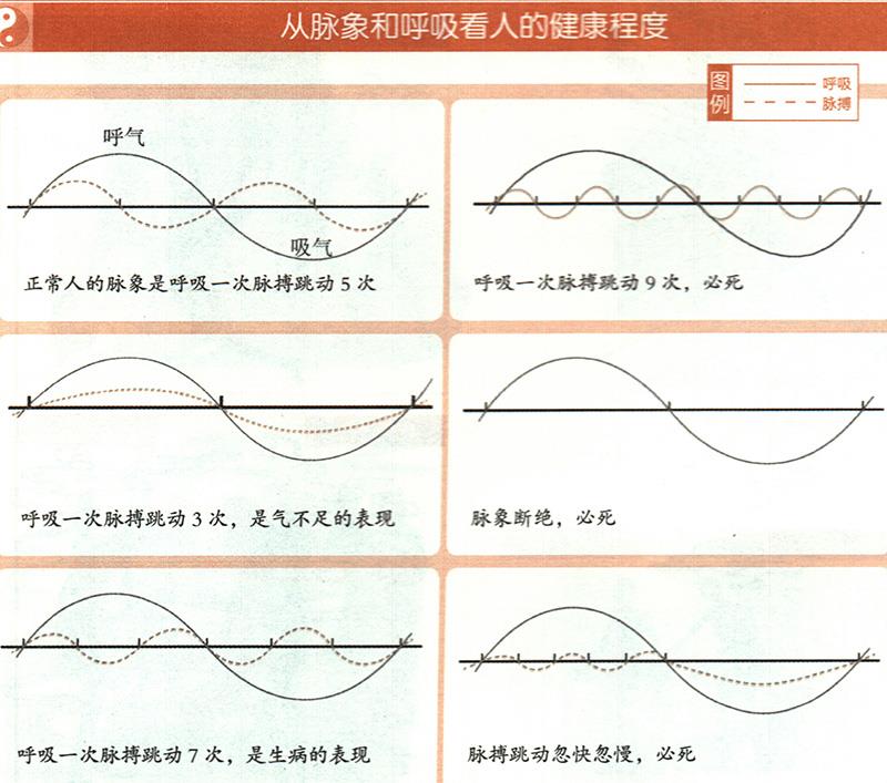 如何從脈象和呼吸推算健康？