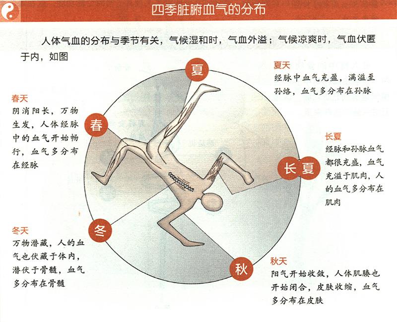 四季臟腑血氣是怎樣分布的？