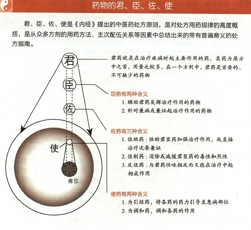 什么是藥物的君臣佐使？