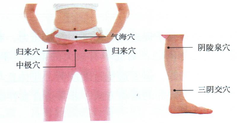 按摩歸來(lái)穴、中極穴等，健脾調(diào)經(jīng)更助孕